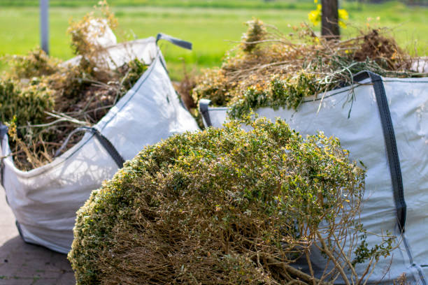Professional Junk Removal Services in North New Hyde Park, NY
